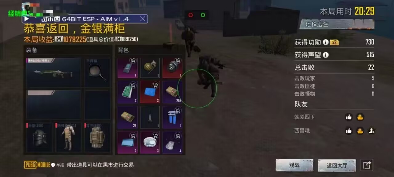 和平精英辅助【蜜雪冰城直装V3.0】人机识别  子弹追踪 开火自瞄 人物透视